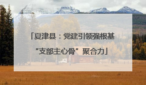 夏津县：党建引领强根基 “支部主心骨”聚合力