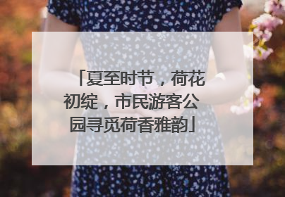 夏至时节，荷花初绽，市民游客公园寻觅荷香雅韵
