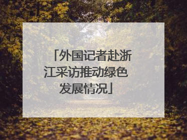 外国记者赴浙江采访推动绿色发展情况