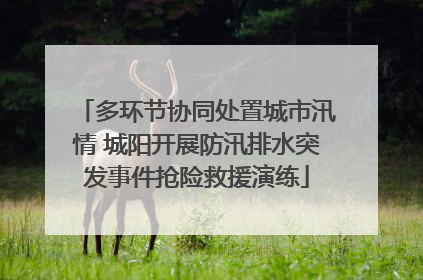 多环节协同处置城市汛情 城阳开展防汛排水突发事件抢险救援演练