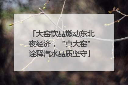 大窑饮品燃动东北夜经济，“真大窑”诠释汽水品质坚守