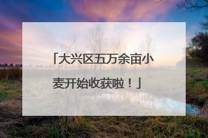 大兴区五万余亩小麦开始收获啦！