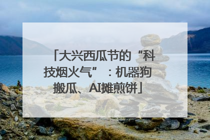大兴西瓜节的“科技烟火气”：机器狗搬瓜、AI摊煎饼