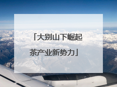 大别山下崛起茶产业新势力