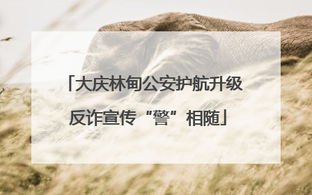 大庆林甸公安护航升级 反诈宣传“警”相随