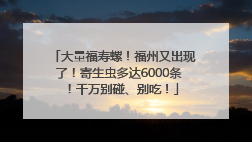 大量福寿螺！福州又出现了！寄生虫多达6000条！千万别碰、别吃！