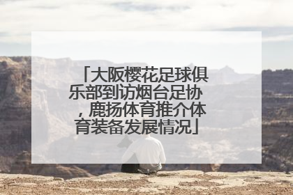 大阪樱花足球俱乐部到访烟台足协，鹿扬体育推介体育装备发展情况