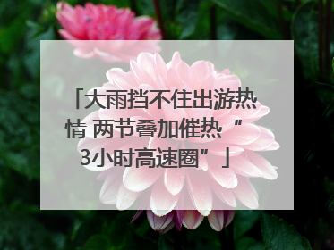 大雨挡不住出游热情 两节叠加催热“3小时高速圈”