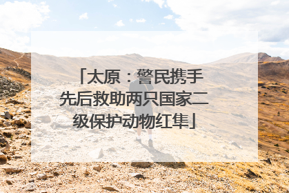 太原：警民携手 先后救助两只国家二级保护动物红隼