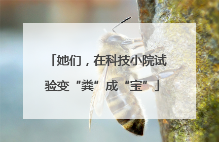 她们，在科技小院试验变“粪”成“宝”