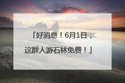 好消息！6月1日，这群人游石林免费！