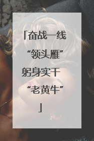 奋战一线“领头雁” 躬身实干“老黄牛”