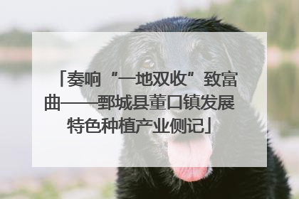 奏响“一地双收”致富曲——鄄城县董口镇发展特色种植产业侧记