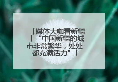 媒体大咖看新疆丨“中国新疆的城市非常繁华，处处都充满活力”