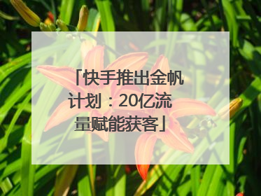快手推出金帆计划：20亿流量赋能获客
