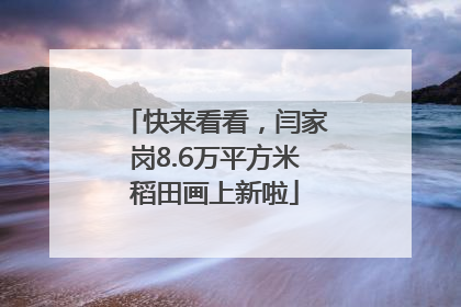 快来看看，闫家岗8.6万平方米稻田画上新啦