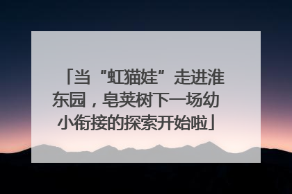当“虹猫娃”走进淮东园，皂荚树下一场幼小衔接的探索开始啦