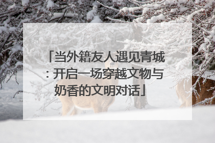 当外籍友人遇见青城：开启一场穿越文物与奶香的文明对话