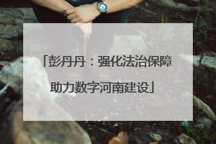 彭丹丹：强化法治保障 助力数字河南建设