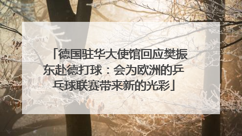 德国驻华大使馆回应樊振东赴德打球：会为欧洲的乒乓球联赛带来新的光彩