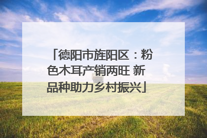 德阳市旌阳区：粉色木耳产销两旺 新品种助力乡村振兴