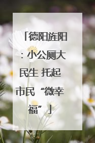 德阳旌阳：小公厕大民生 托起市民“微幸福”