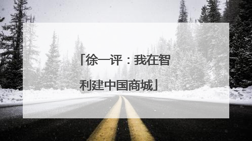 徐一评：我在智利建中国商城