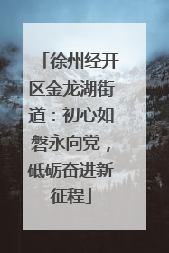 徐州经开区金龙湖街道：初心如磐永向党，砥砺奋进新征程