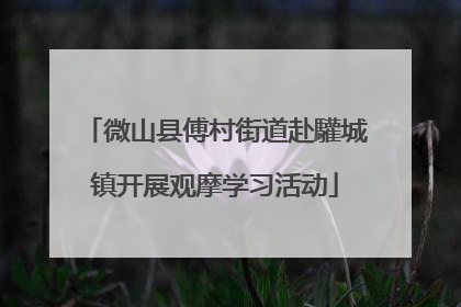 微山县傅村街道赴驩城镇开展观摩学习活动
