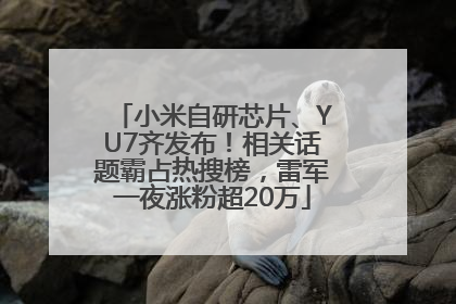 小米自研芯片、YU7齐发布！相关话题霸占热搜榜，雷军一夜涨粉超20万