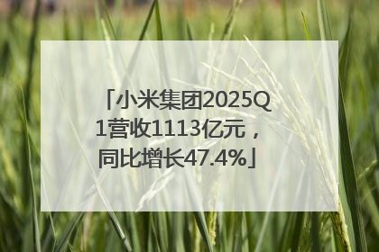 小米集团2025Q1营收1113亿元，同比增长47.4%