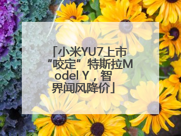 小米YU7上市“咬定”特斯拉Model Y，智界闻风降价