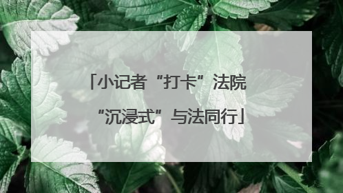 小记者“打卡”法院 “沉浸式”与法同行