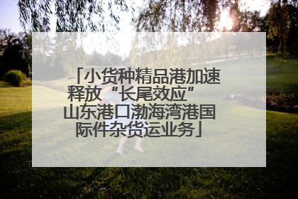 小货种精品港加速释放“长尾效应” 山东港口渤海湾港国际件杂货运业务