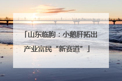 山东临朐：小鹅肝拓出产业富民“新赛道”