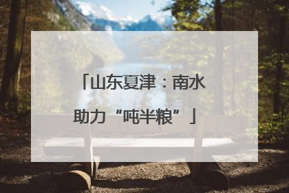 山东夏津：南水助力“吨半粮”