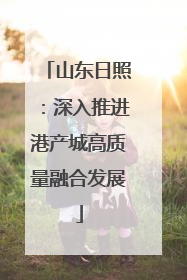 山东日照：深入推进港产城高质量融合发展