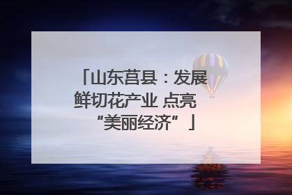 山东莒县：发展鲜切花产业 点亮“美丽经济”