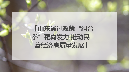 山东通过政策“组合拳”靶向发力 推动民营经济高质量发展