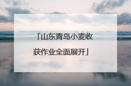 山东青岛小麦收获作业全面展开