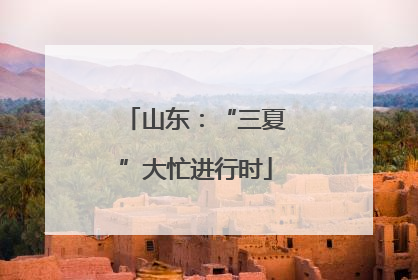 山东：“三夏”大忙进行时