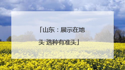 山东：展示在地头 选种有准头