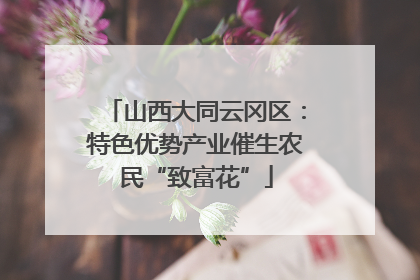 山西大同云冈区：特色优势产业催生农民“致富花”