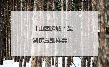 山西运城：盐湖捞虫别样美