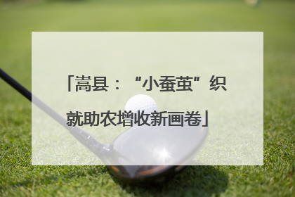 嵩县：“小蚕茧”织就助农增收新画卷