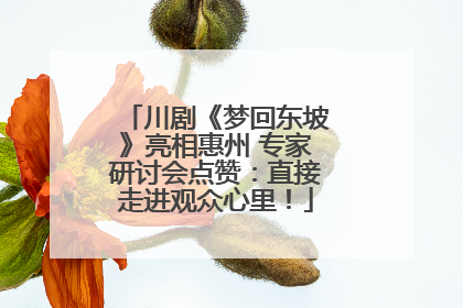川剧《梦回东坡》亮相惠州 专家研讨会点赞：直接走进观众心里！
