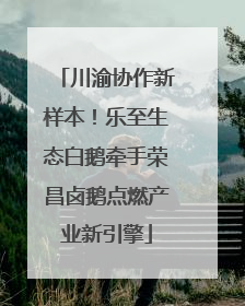 川渝协作新样本！乐至生态白鹅牵手荣昌卤鹅点燃产业新引擎