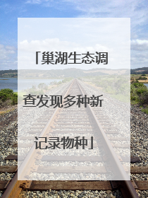 巢湖生态调查发现多种新记录物种