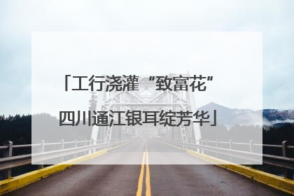 工行浇灌“致富花” 四川通江银耳绽芳华