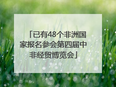 已有48个非洲国家报名参会第四届中非经贸博览会
